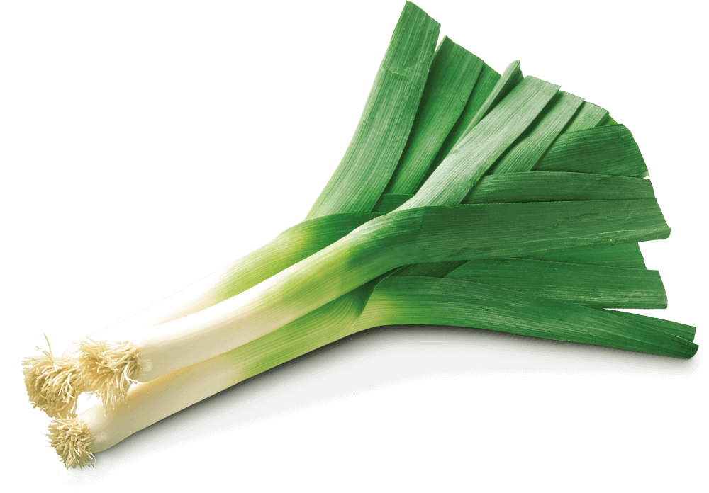 leek